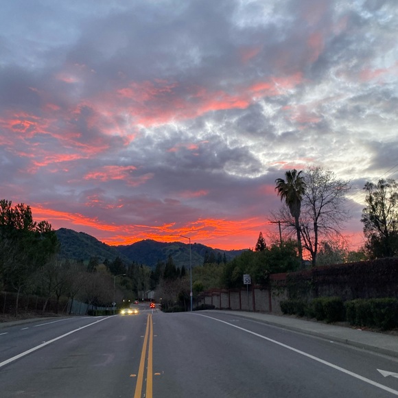 Meet your Posher, Tina - Picture 5 of 6